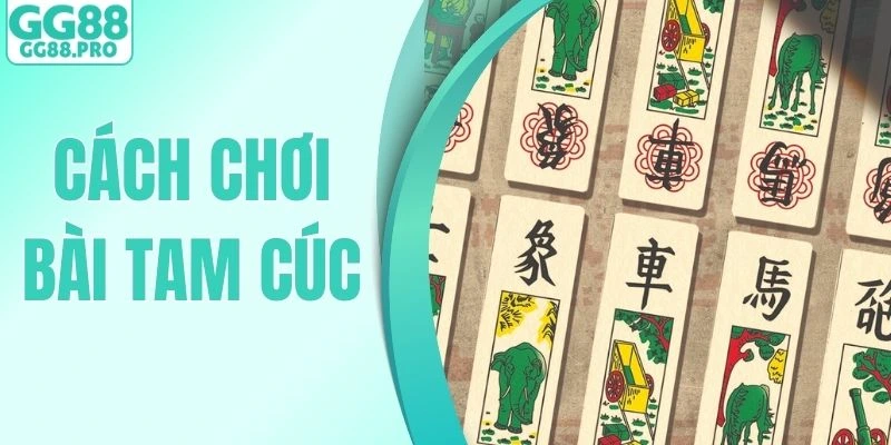 Cách Chơi Bài Tam Cúc - Bí Quyết Thắng Lớn Tại Nhà Cái GG88