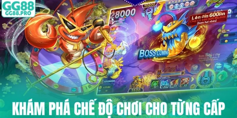 Khám phá chế độ chơi cho từng cấp