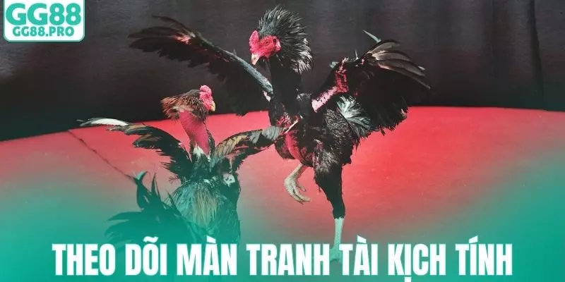 Theo dõi màn tranh tài với các bình luận viên sôi nổi