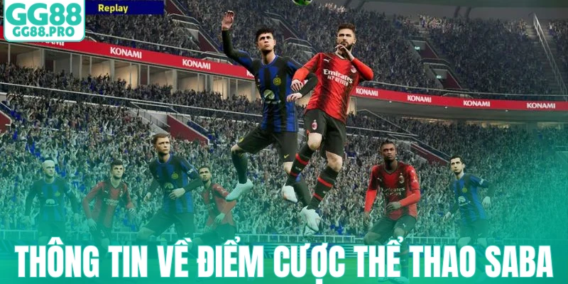 Thông tin về điểm cược thể thao Saba